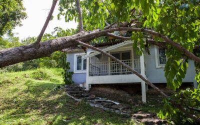 Rental Dumpsters Can Help With Storms, Fall Clean Out