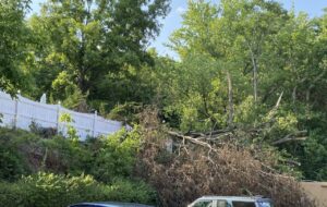 Storm damage in Hagerstown needs a dumpster