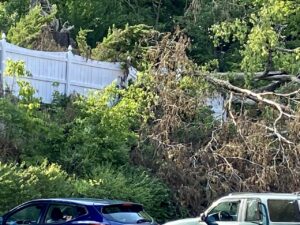 Storm damage in Hagerstown. BlueBox has a dumpster for summer storm damage.