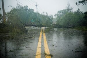 Storm damage in Hagerstown needs a dumpster