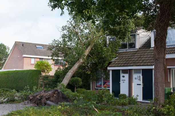 Storm damage in Hagerstown needs a dumpster