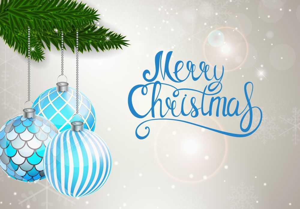 Merry Christmas from BlueBox Rental dumpster rental service in Hagerstown, MD