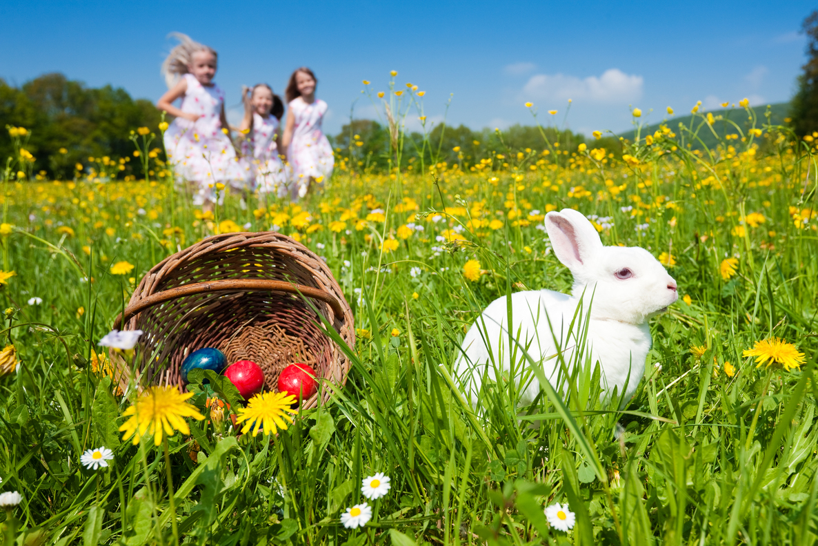 Happy Easter from BlueBox Rental dumpster rental company in Hagerstown, MD