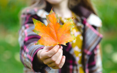 Fall Fun this October in the Tri-state Area