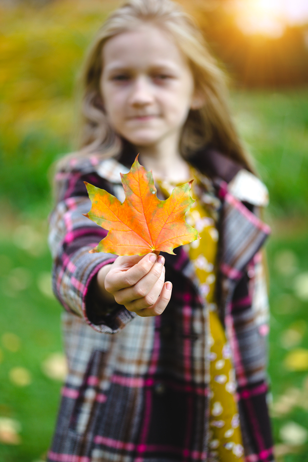 Fall fun in the Tri-state are of MD, WV and PA, where BlueBox delivers their rental dumpsters.